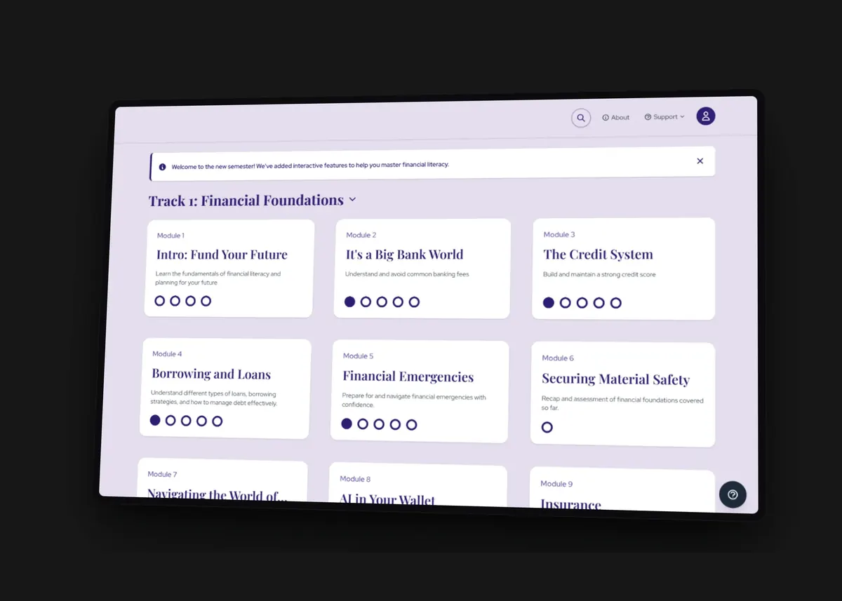 Financial Literacy Platform preview