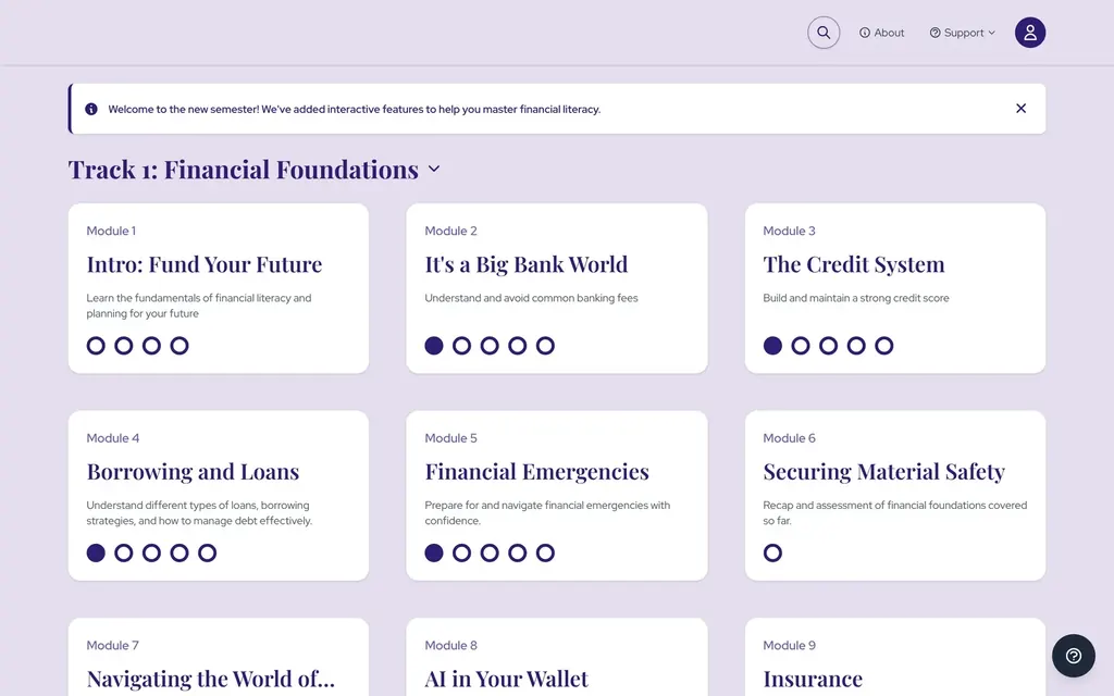 Financial Literacy Platform preview