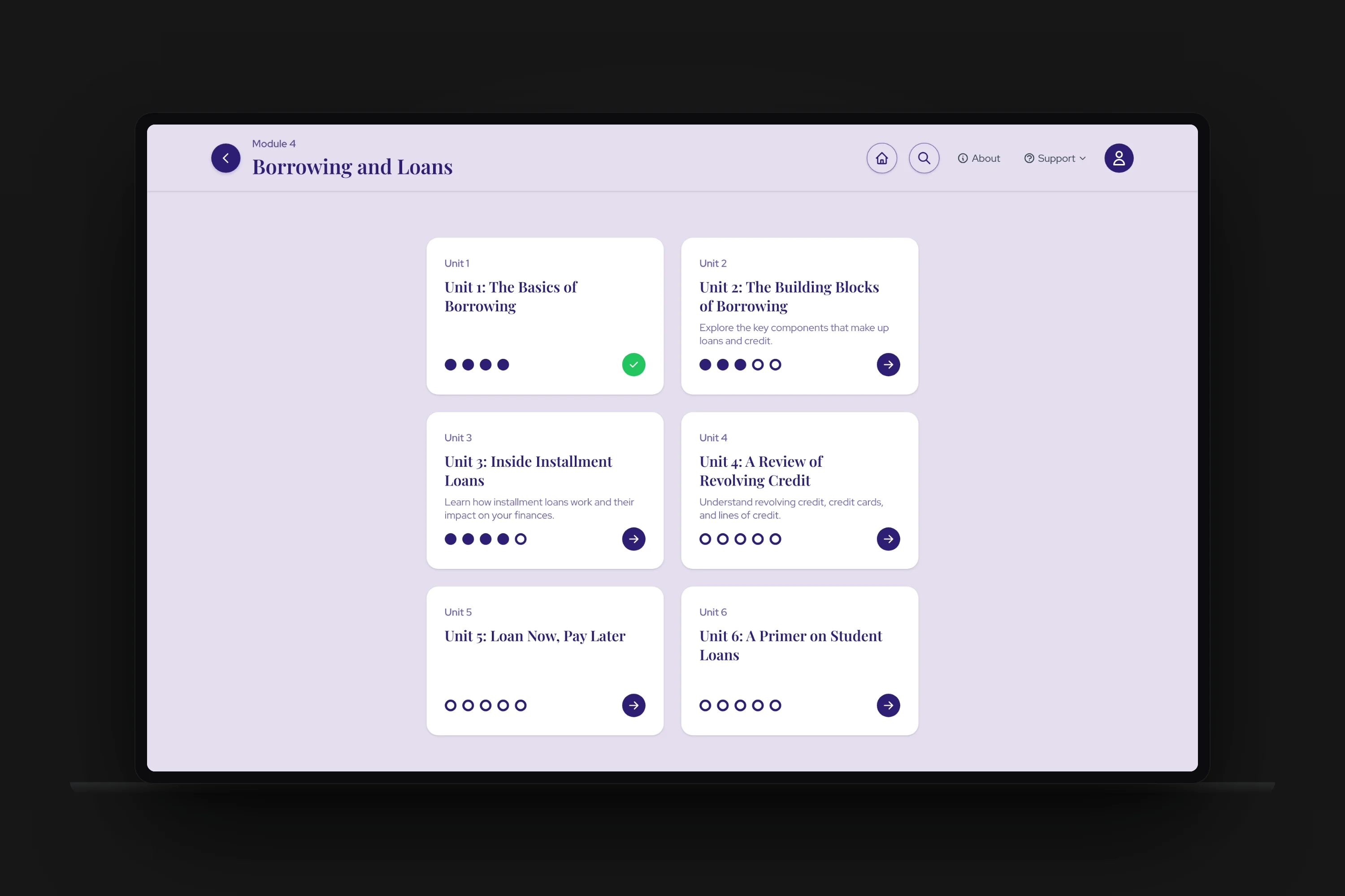 Financial Literacy Platform detail 3